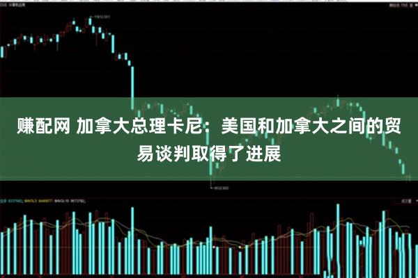 赚配网 加拿大总理卡尼：美国和加拿大之间的贸易谈判取得了进展