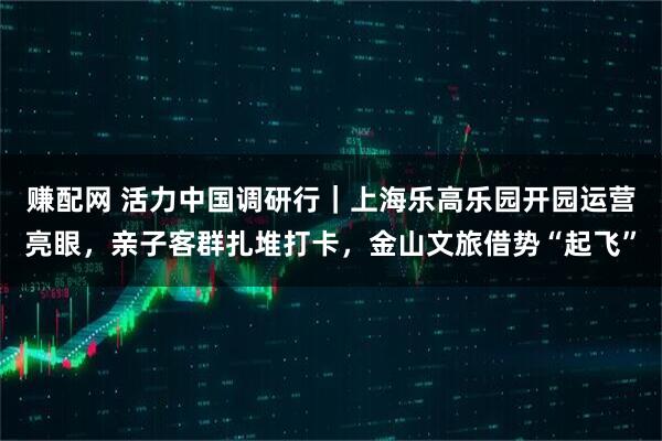 赚配网 活力中国调研行｜上海乐高乐园开园运营亮眼，亲子客群扎堆打卡，金山文旅借势“起飞”