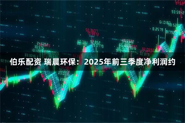 伯乐配资 瑞晨环保：2025年前三季度净利润约
